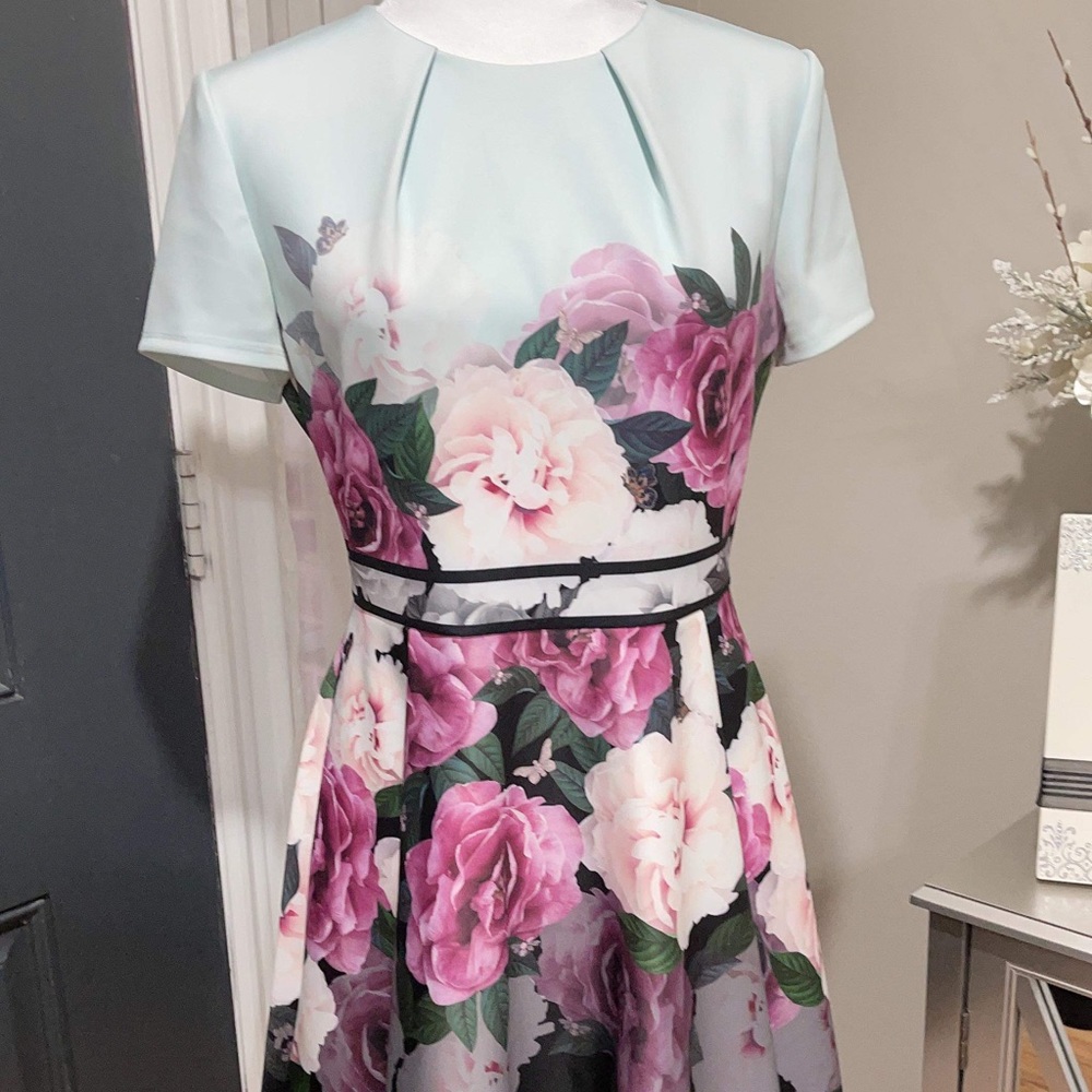 Ted Baker dress NWOT size 3